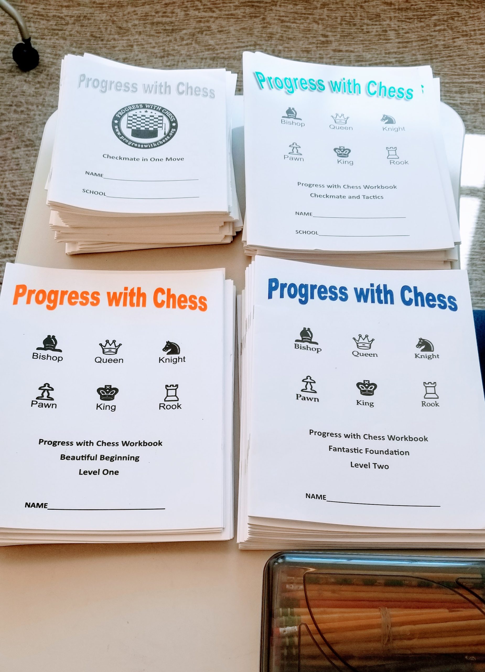Summer & Winter Chess Camps In NE Ohio Cleveland Area