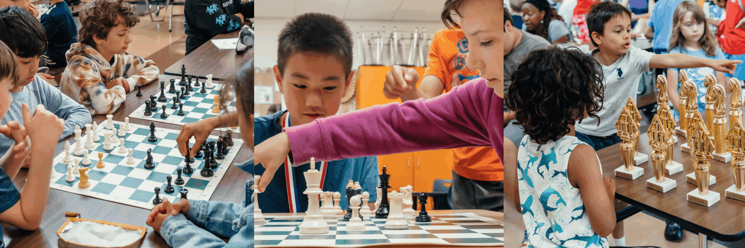 Beachwood Chess Camp 2026 &raquo; winter camps banner