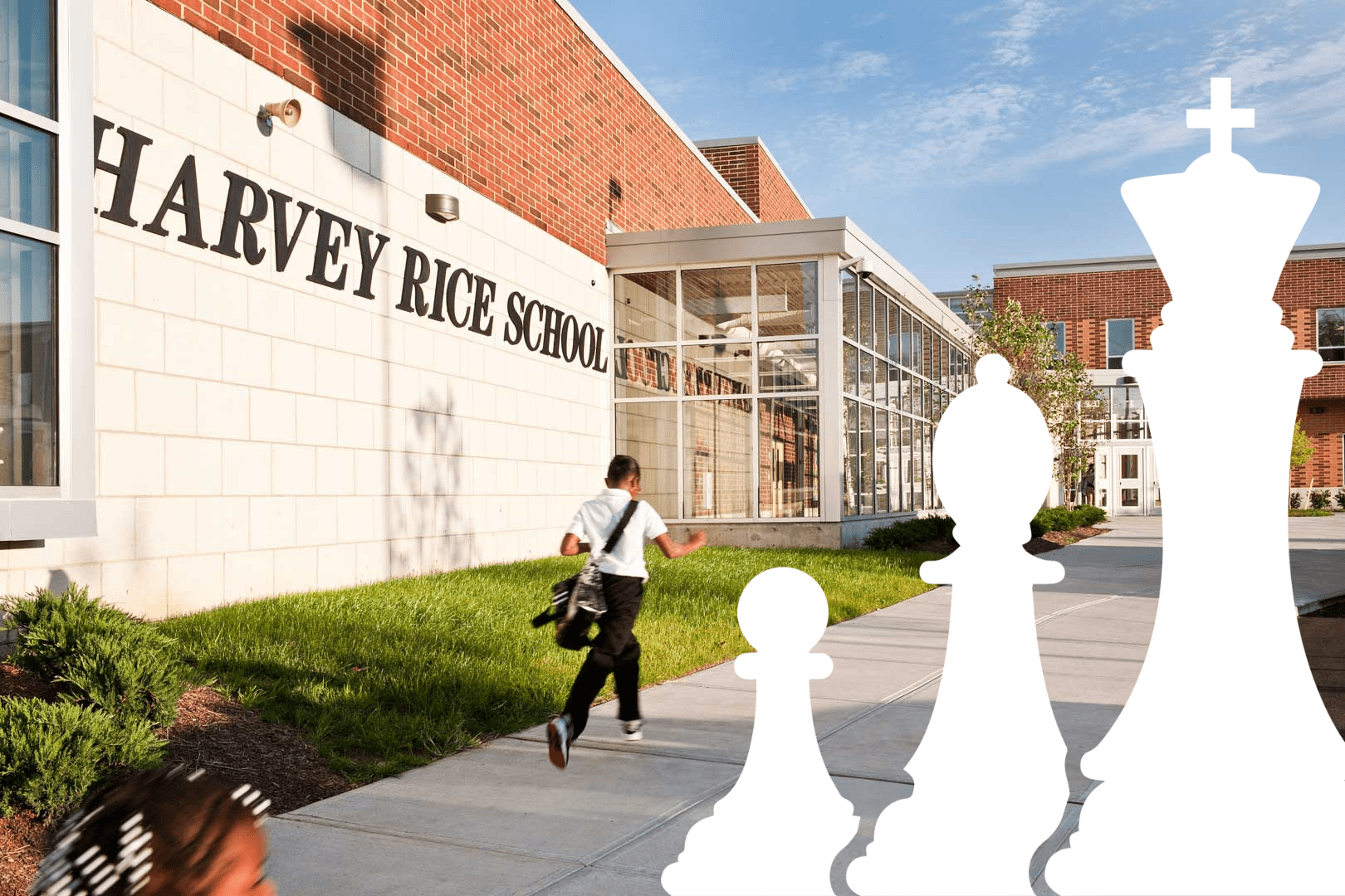 rice programs cover
